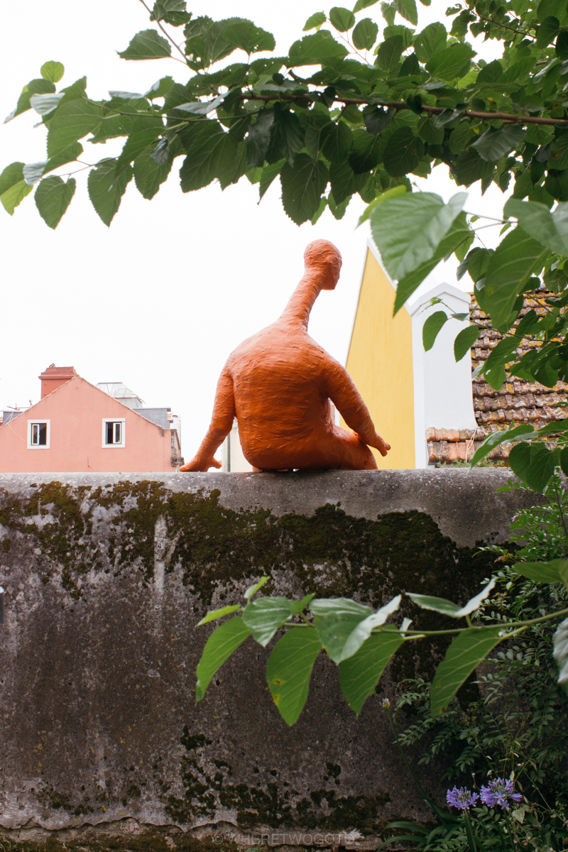 The Tropical Botanical Garden of Lisbon: a hidden green pearl