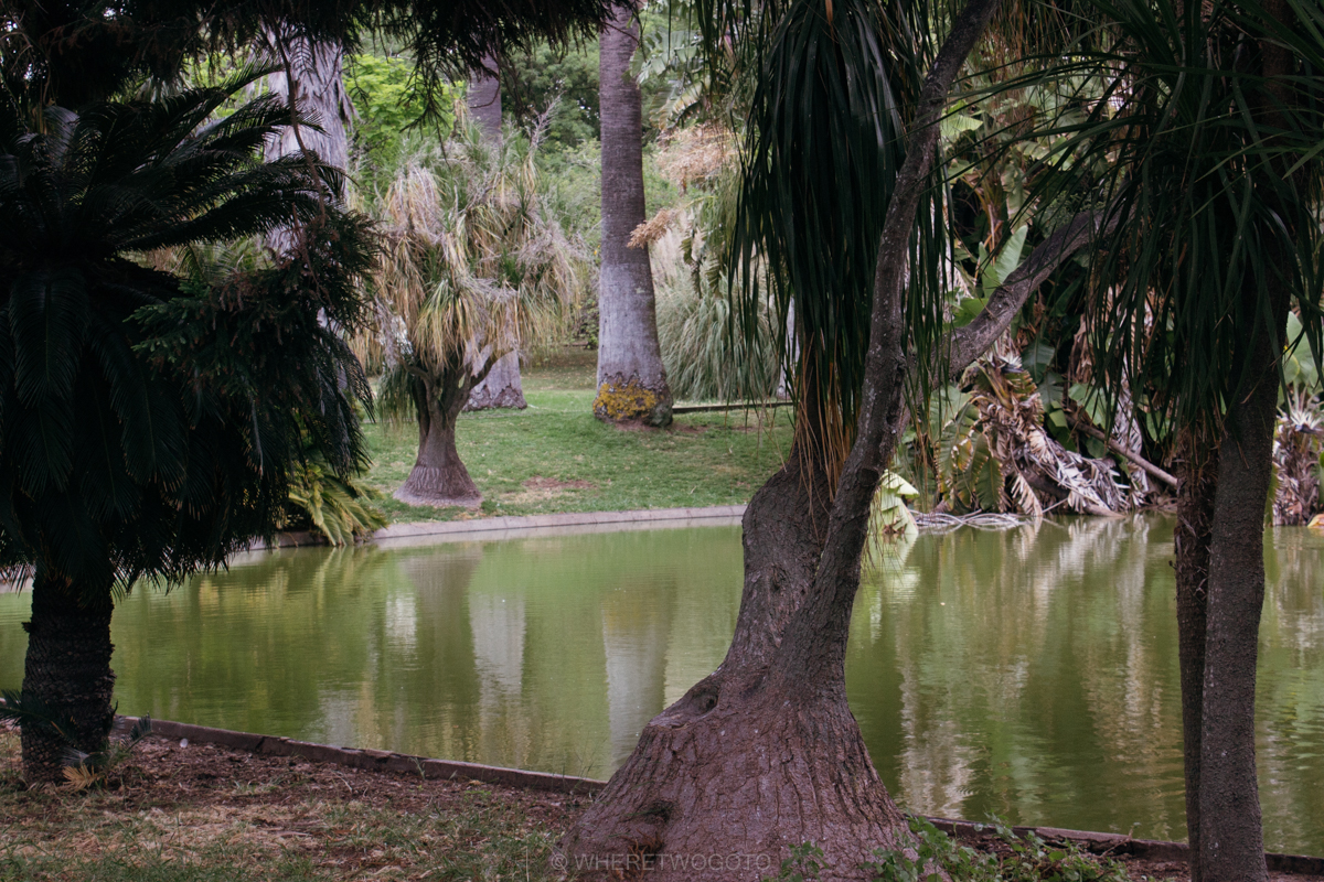 The Tropical Botanical Garden of Lisbon: a hidden green pearl
