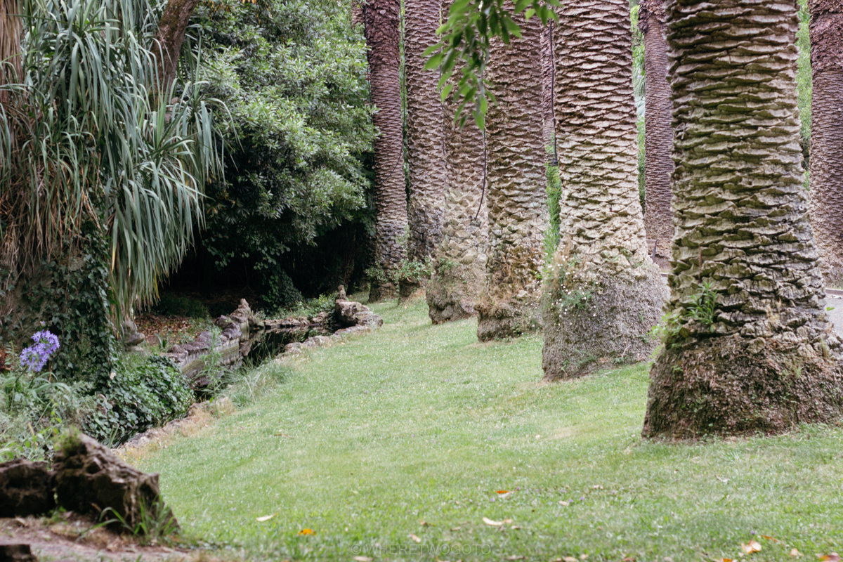 The Tropical Botanical Garden of Lisbon: a hidden green pearl