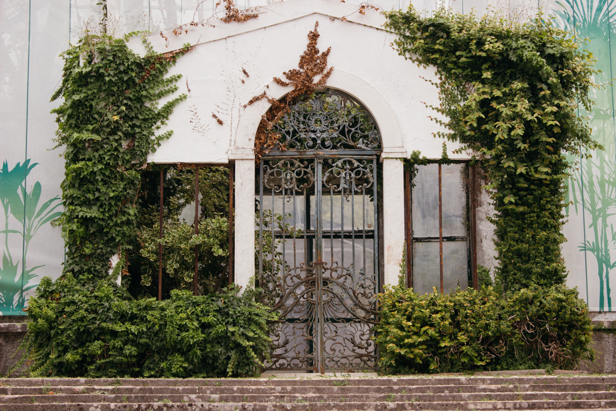 The Tropical Botanical Garden of Lisbon: a hidden green pearl