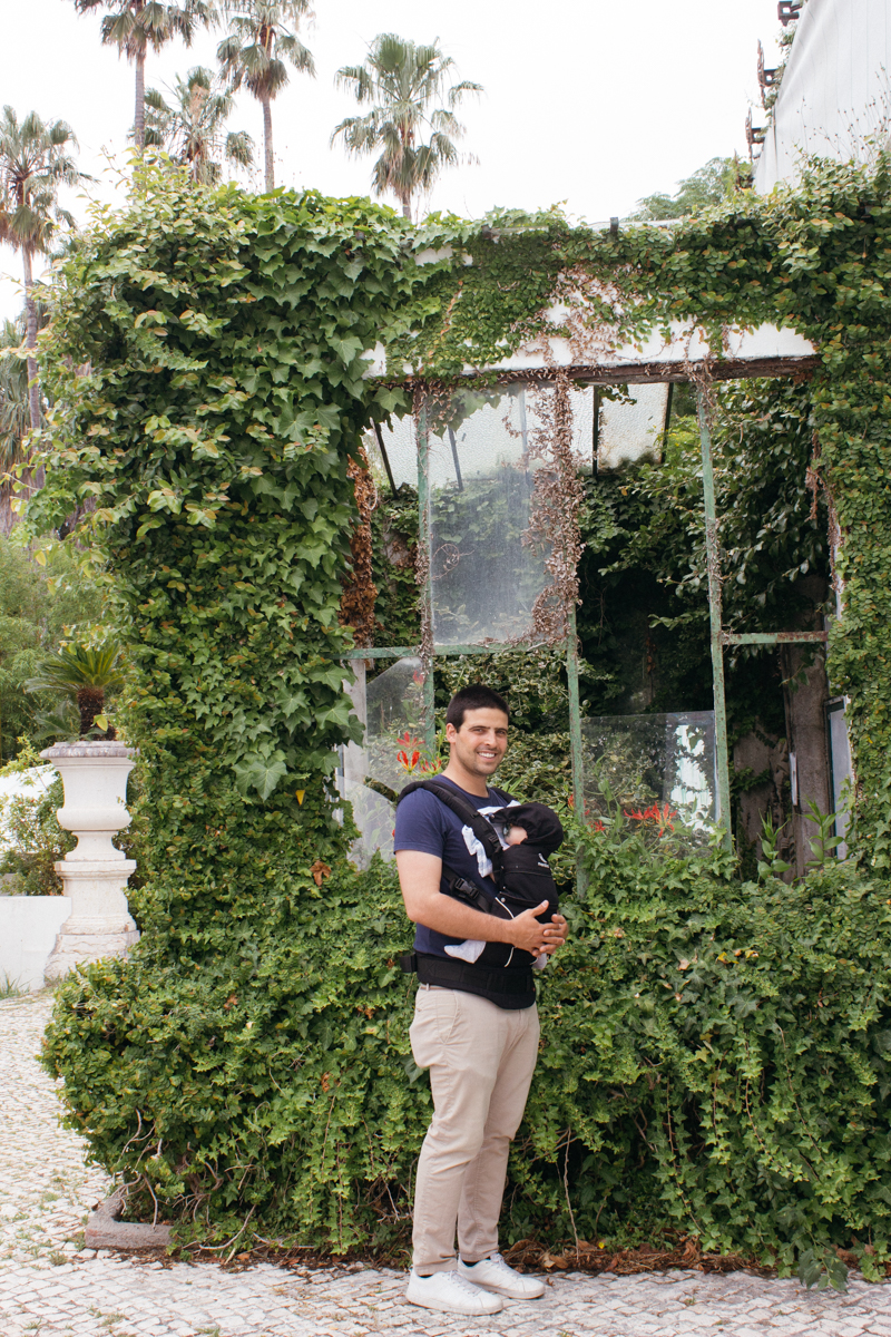 The Tropical Botanical Garden of Lisbon: a hidden green pearl
