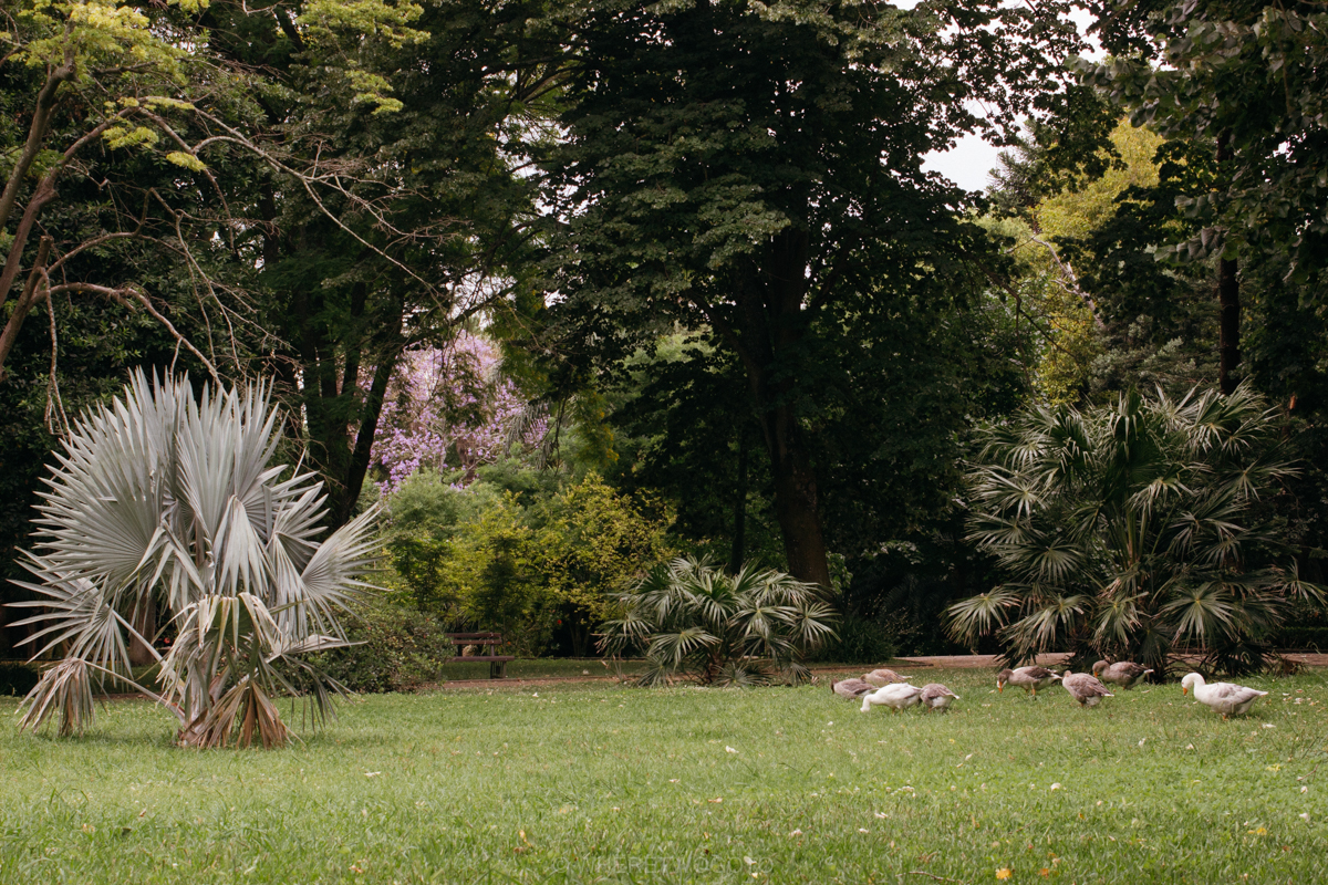 The Tropical Botanical Garden of Lisbon: a hidden green pearl