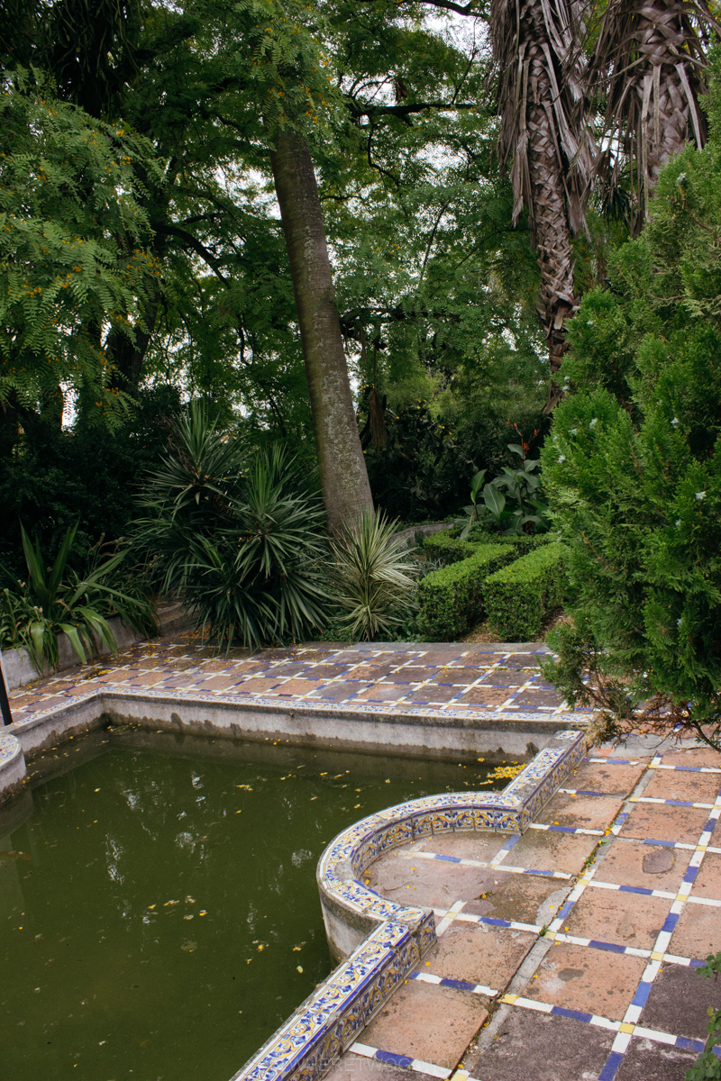 The Tropical Botanical Garden of Lisbon: a hidden green pearl