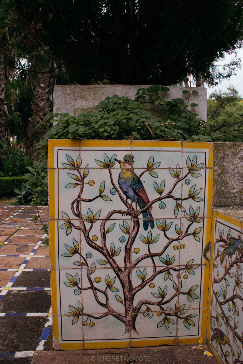 The Tropical Botanical Garden of Lisbon: a hidden green pearl
