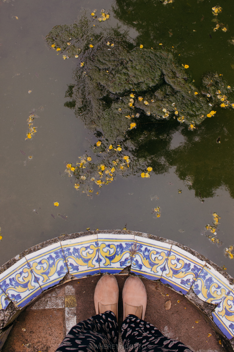 The Tropical Botanical Garden of Lisbon: a hidden green pearl