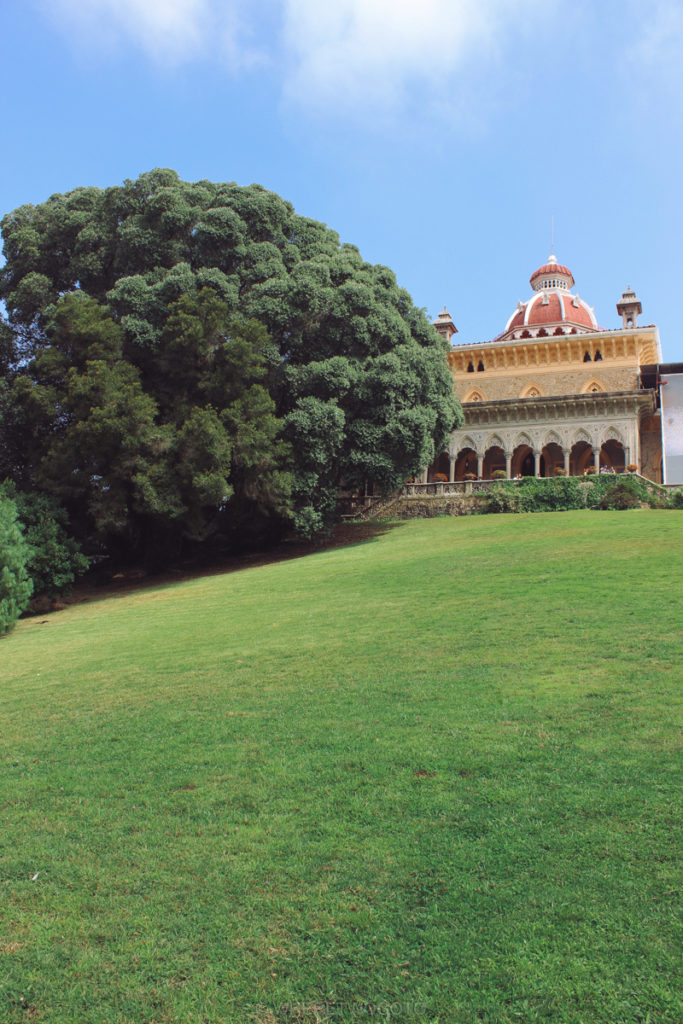 The lawns of Monserrate, Sintra.