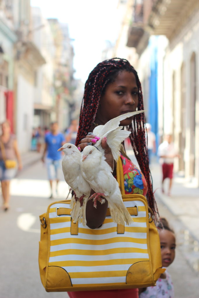 Doves for hire on a street in Old Havana.